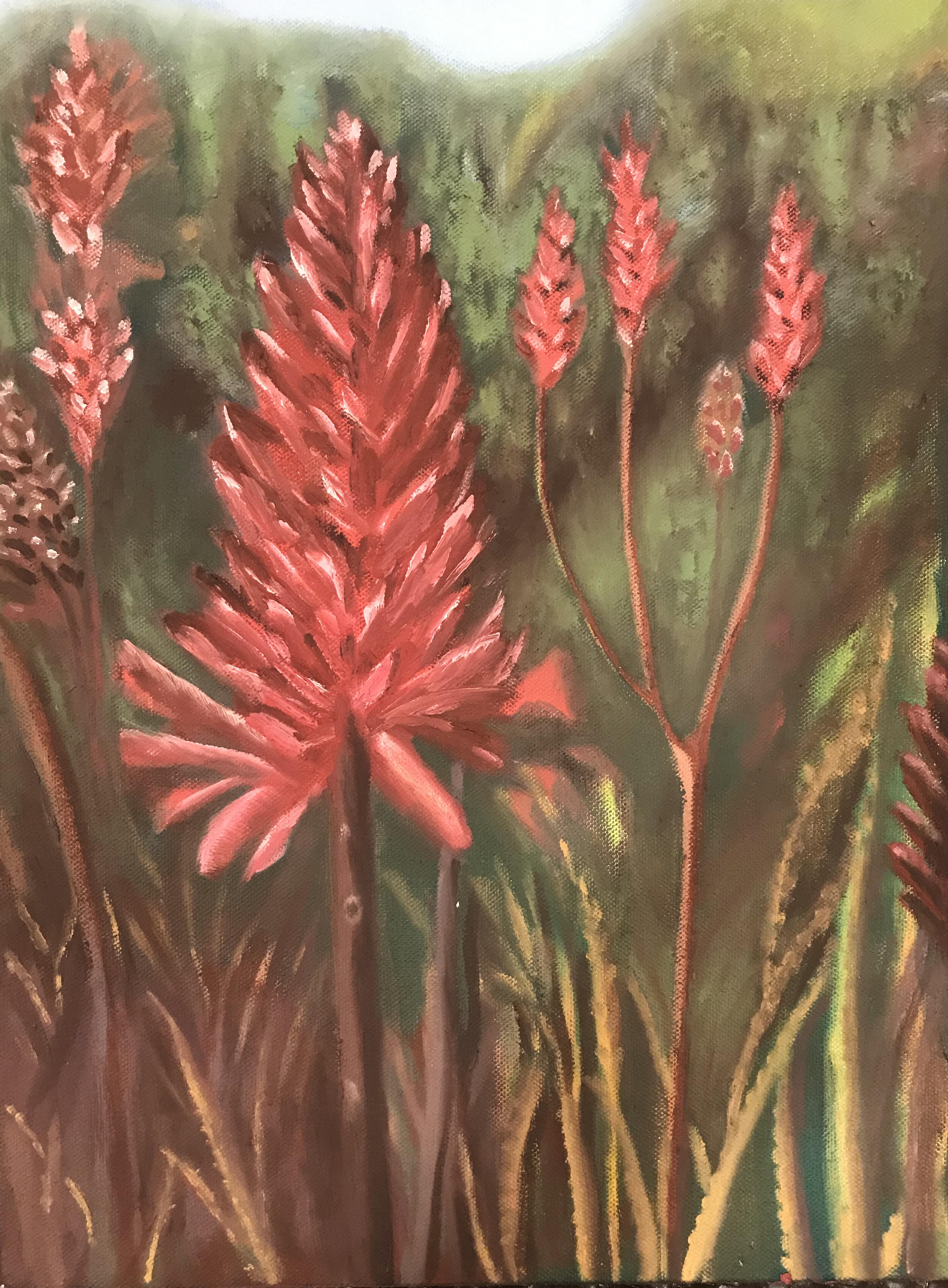 Aloe Flower